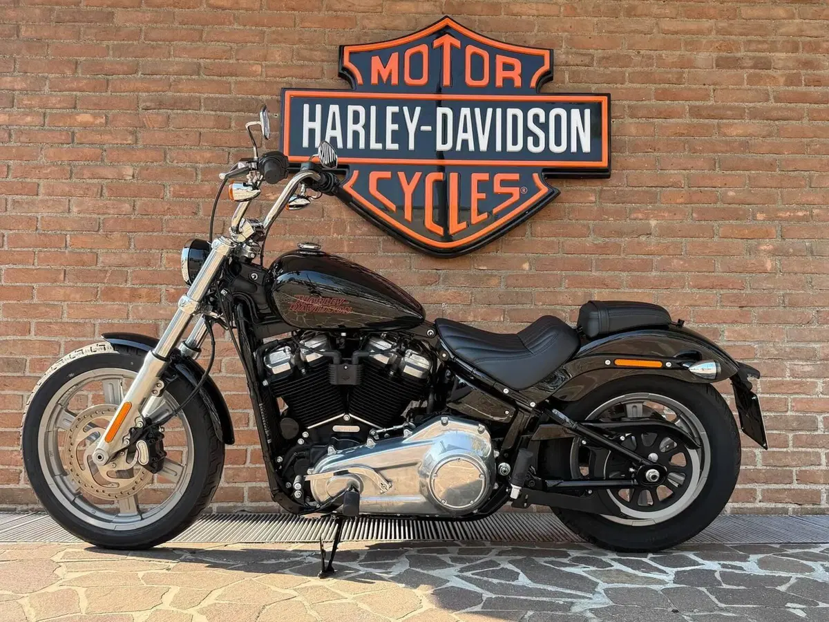 Harley-Davidson Softail Standard (2021 - 25) (5)