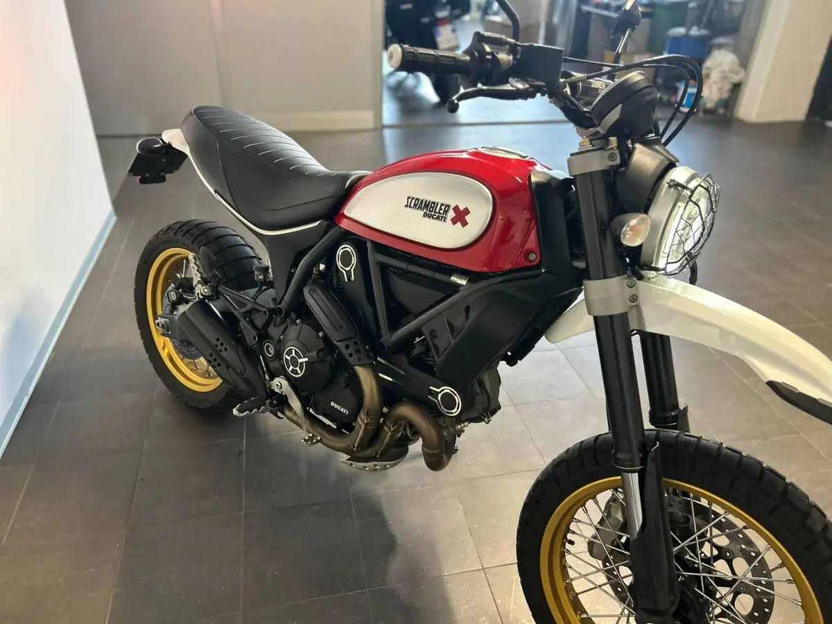 Ducati Scrambler 800 Desert Sled (2017 - 20) (7)