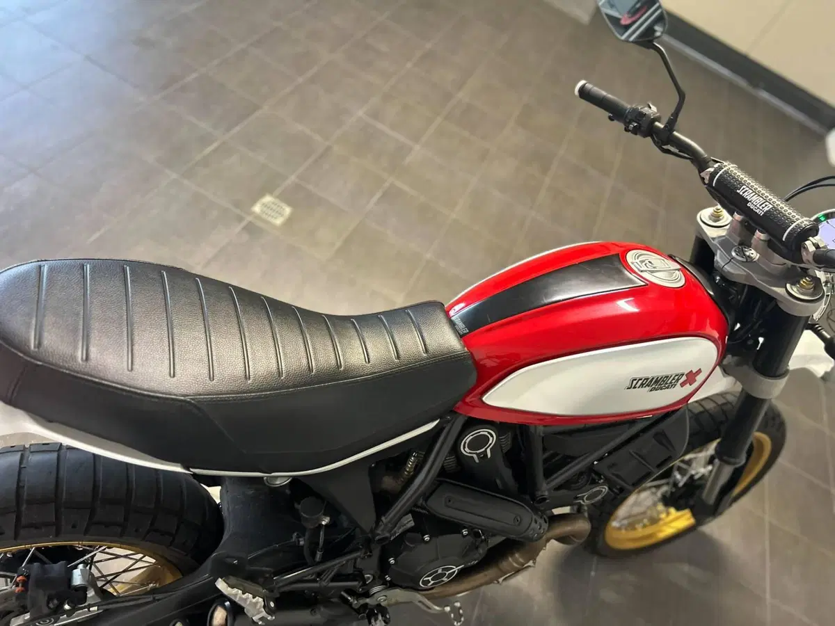 Ducati Scrambler 800 Desert Sled (2017 - 20) (8)