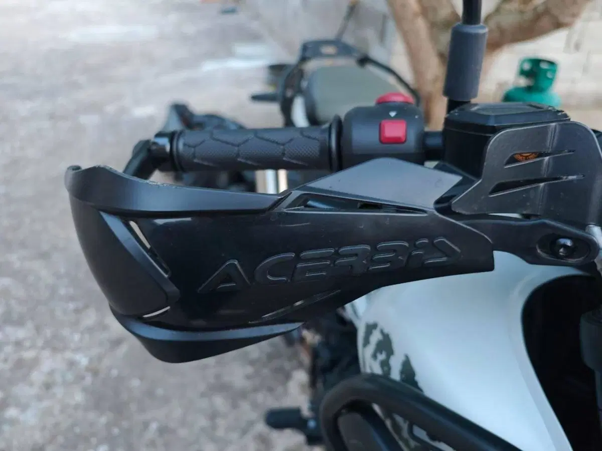Royal Enfield Himalayan 450 Tubeless (2024 - 26) (3)