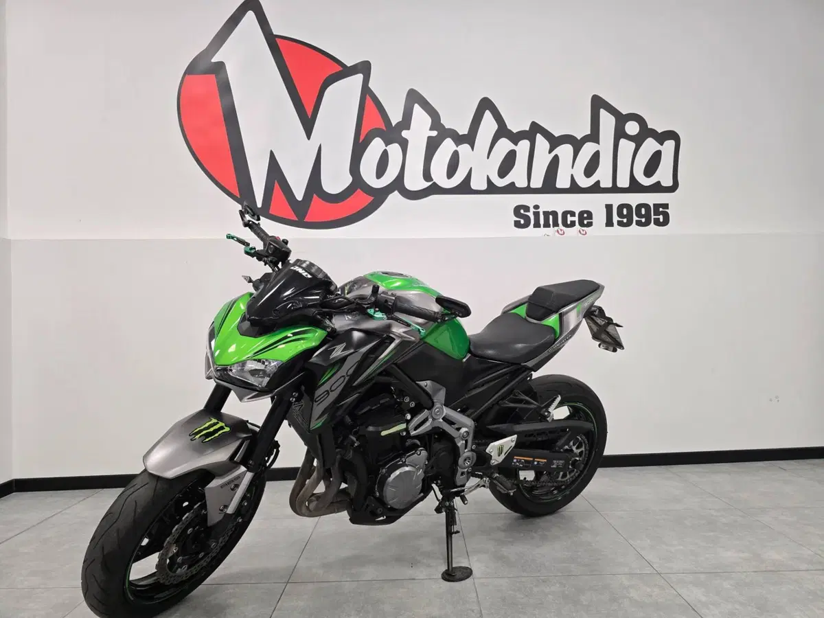 Kawasaki Z 900 (2019) (2)