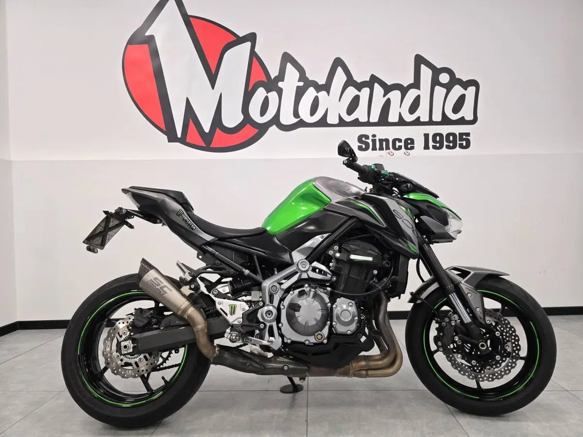 Kawasaki Z 900 (2019) (4)