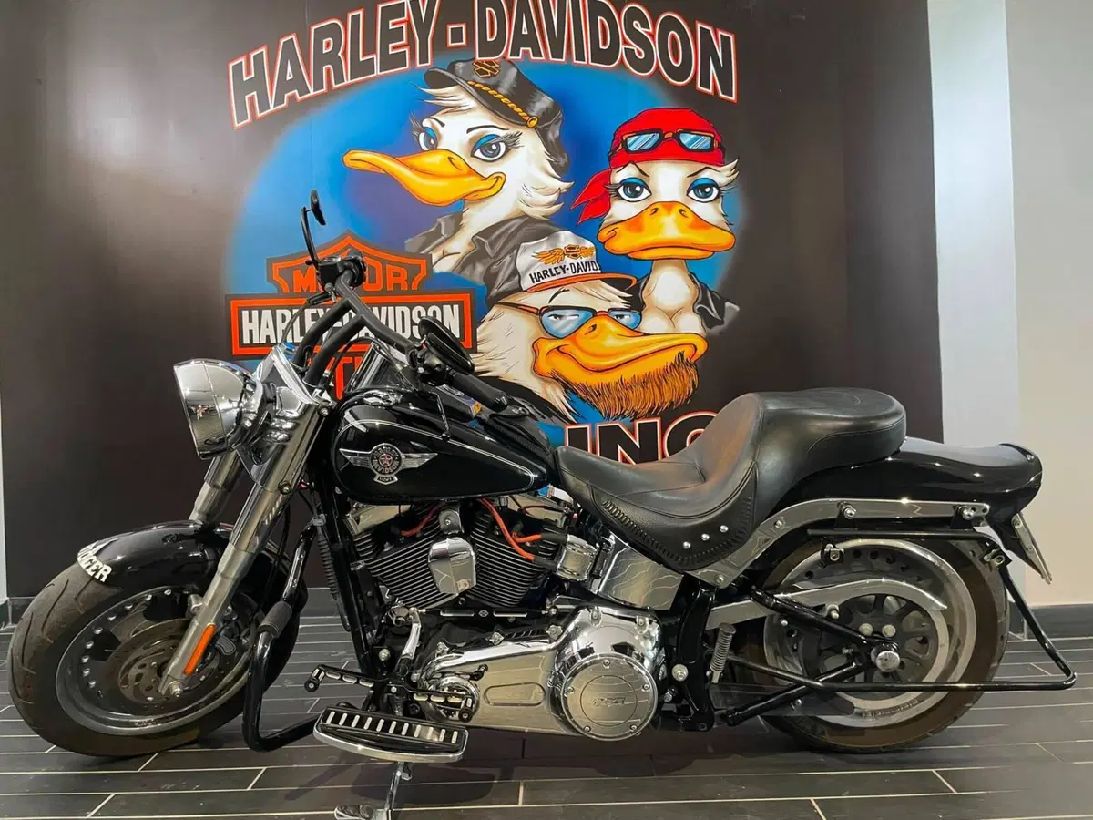 Harley-Davidson 1690 Fat Boy Special (2010 - 17) - FLSTF (3)