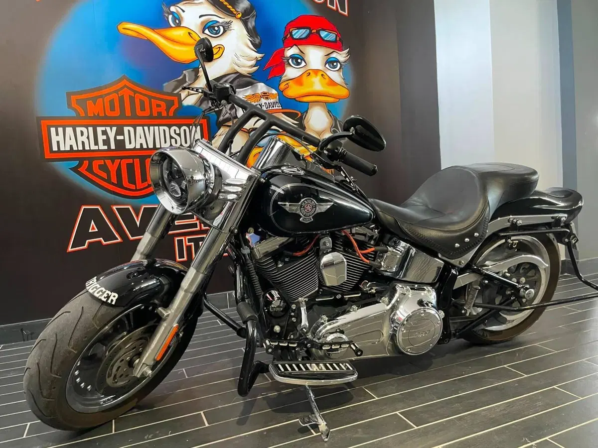 Harley-Davidson 1690 Fat Boy Special (2010 - 17) - FLSTF (4)
