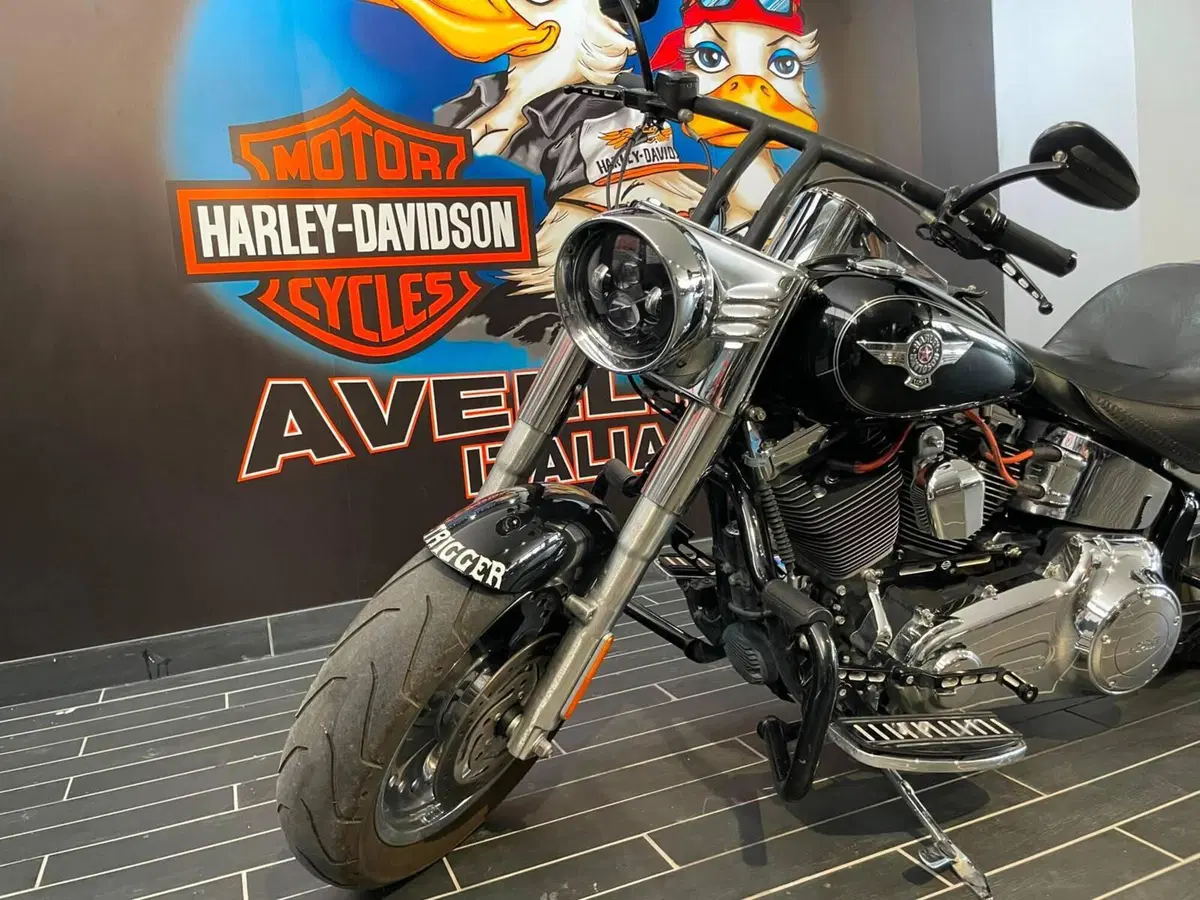 Harley-Davidson 1690 Fat Boy Special (2010 - 17) - FLSTF (5)