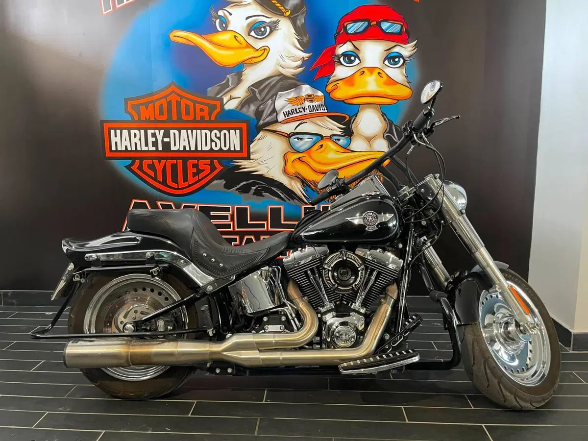 Harley-Davidson 1690 Fat Boy Special (2010 - 17) - FLSTF
