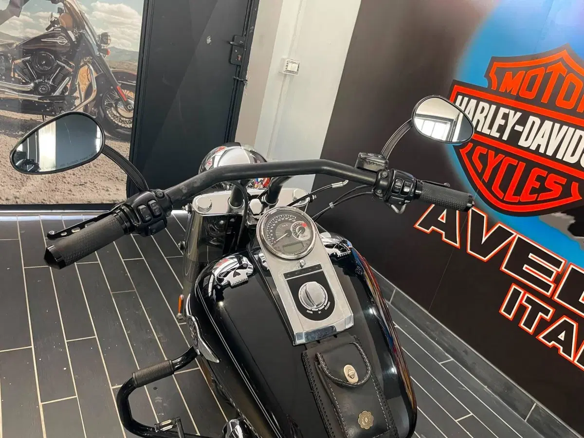 Harley-Davidson 1690 Fat Boy Special (2010 - 17) - FLSTF (6)