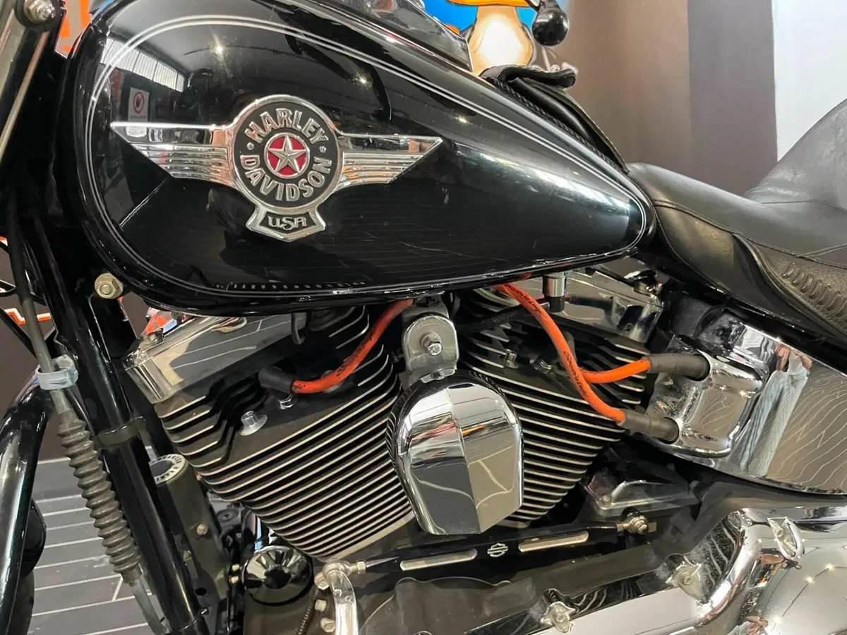 Harley-Davidson 1690 Fat Boy Special (2010 - 17) - FLSTF (18)