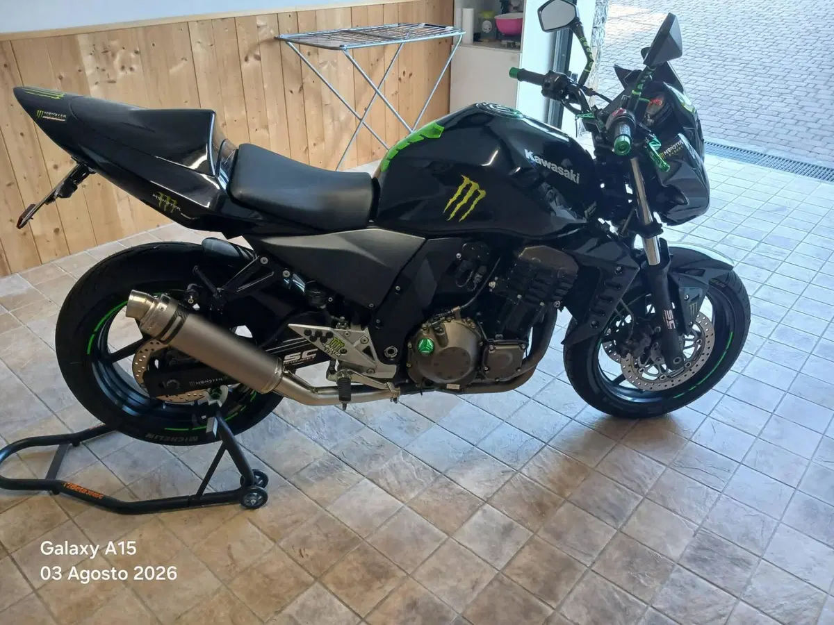 Kawasaki Z 750 (2003 - 06) (10)