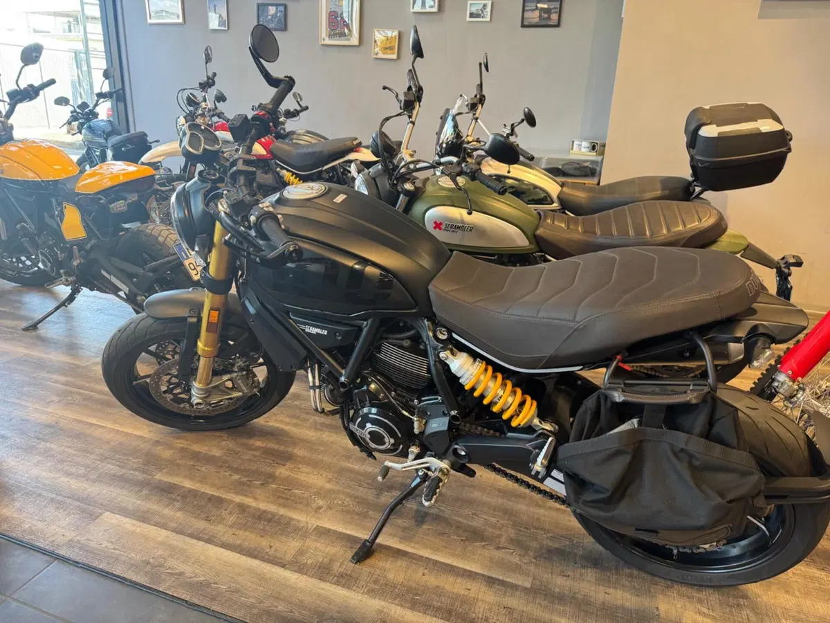 Ducati Scrambler 1100 Sport Pro (2020 - 25) (2)