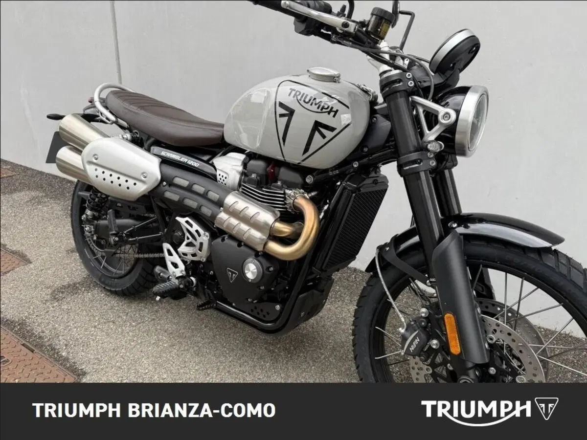 Triumph Scrambler 1200 X (2024 - 26) (3)