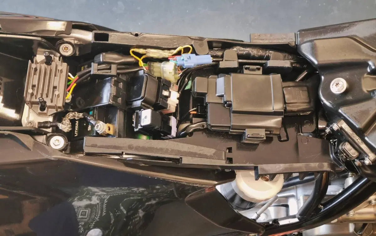 VM Racing 450 SMR (2025 - 26) (10)