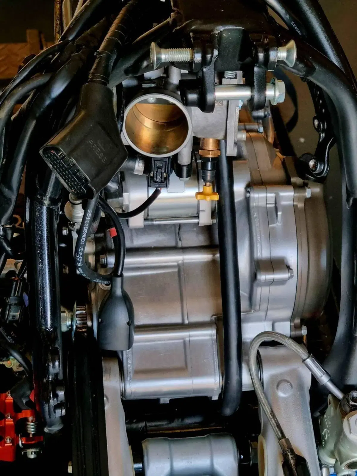 VM Racing 450 SMR (2025 - 26) (11)