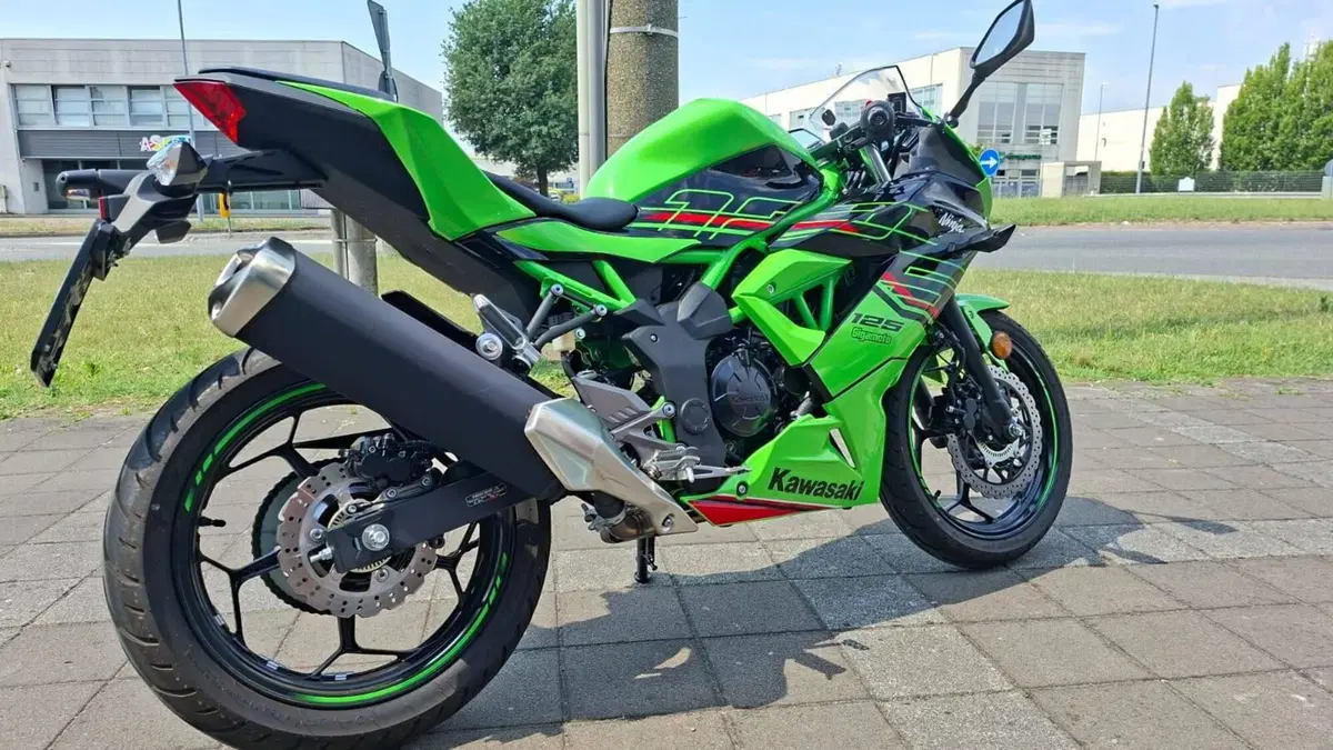 Kawasaki Ninja 125 (2021 - 24) (3)