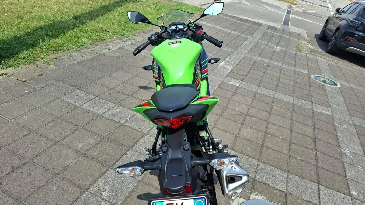 Kawasaki Ninja 125 (2021 - 24) (6)