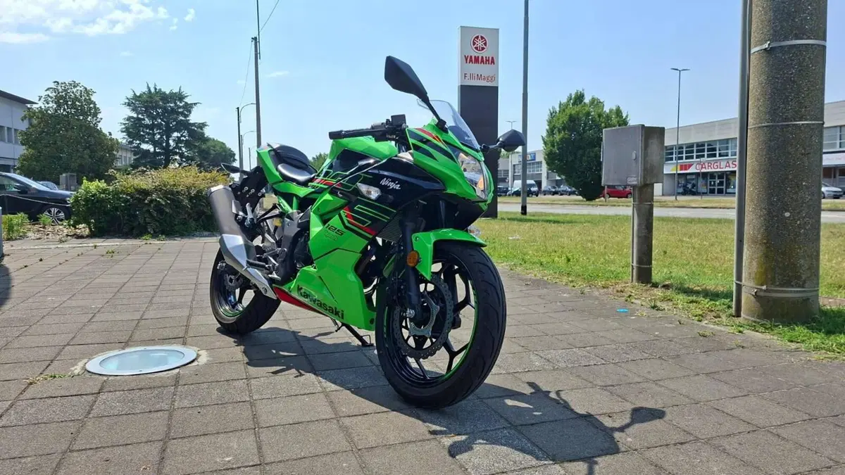 Kawasaki Ninja 125 (2021 - 24) (2)