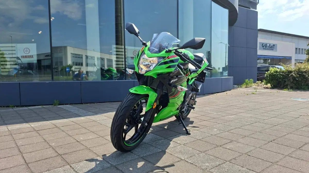 Kawasaki Ninja 125 (2021 - 24) (4)