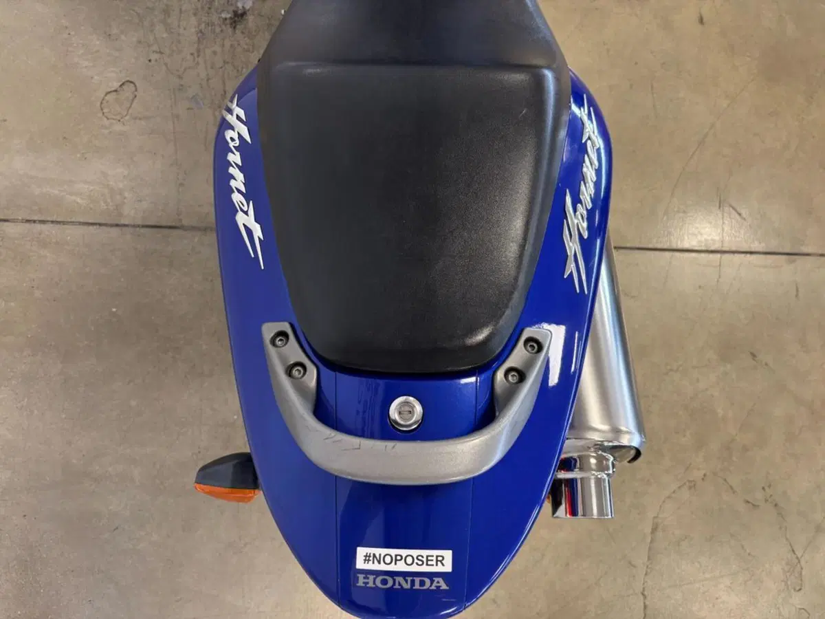 Honda Hornet 600 (2000 - 02) (8)