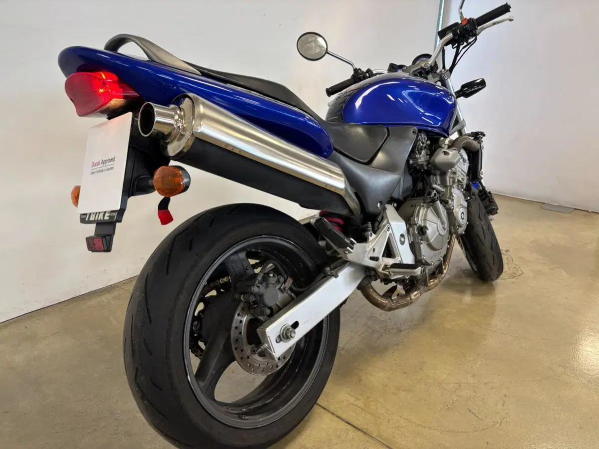 Honda Hornet 600 (2000 - 02) (6)