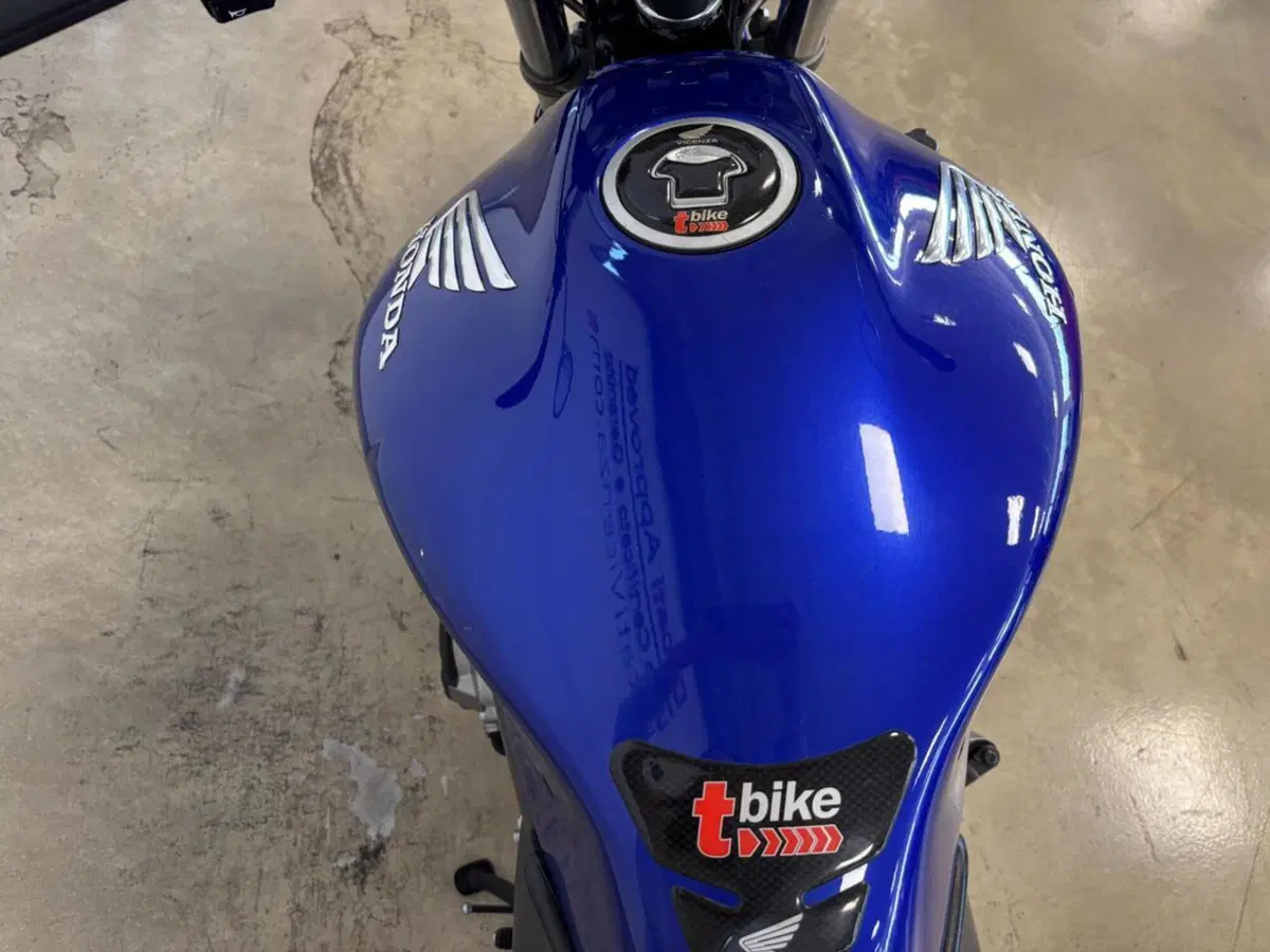 Honda Hornet 600 (2000 - 02) (11)