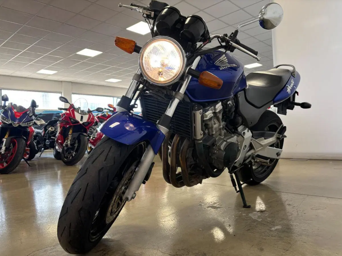 Honda Hornet 600 (2000 - 02) (2)
