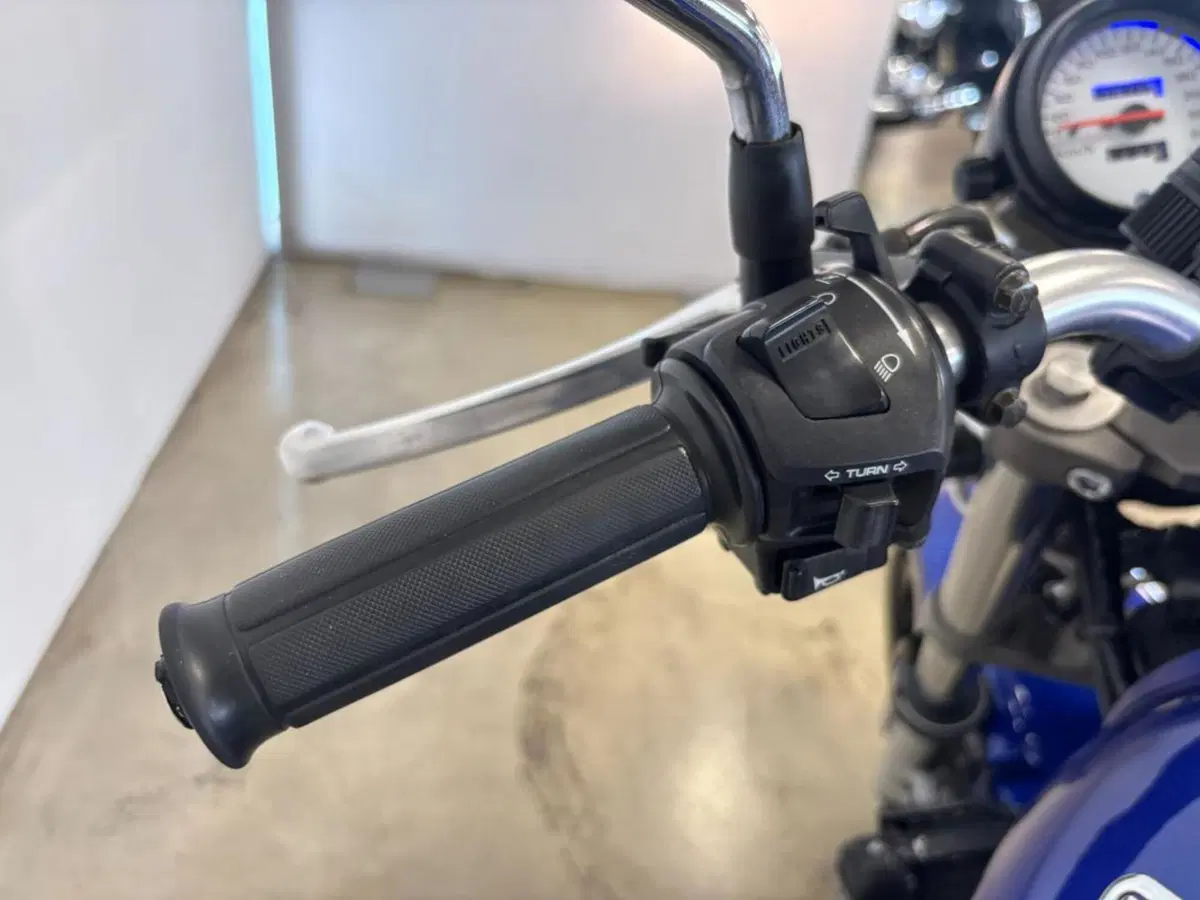 Honda Hornet 600 (2000 - 02) (13)