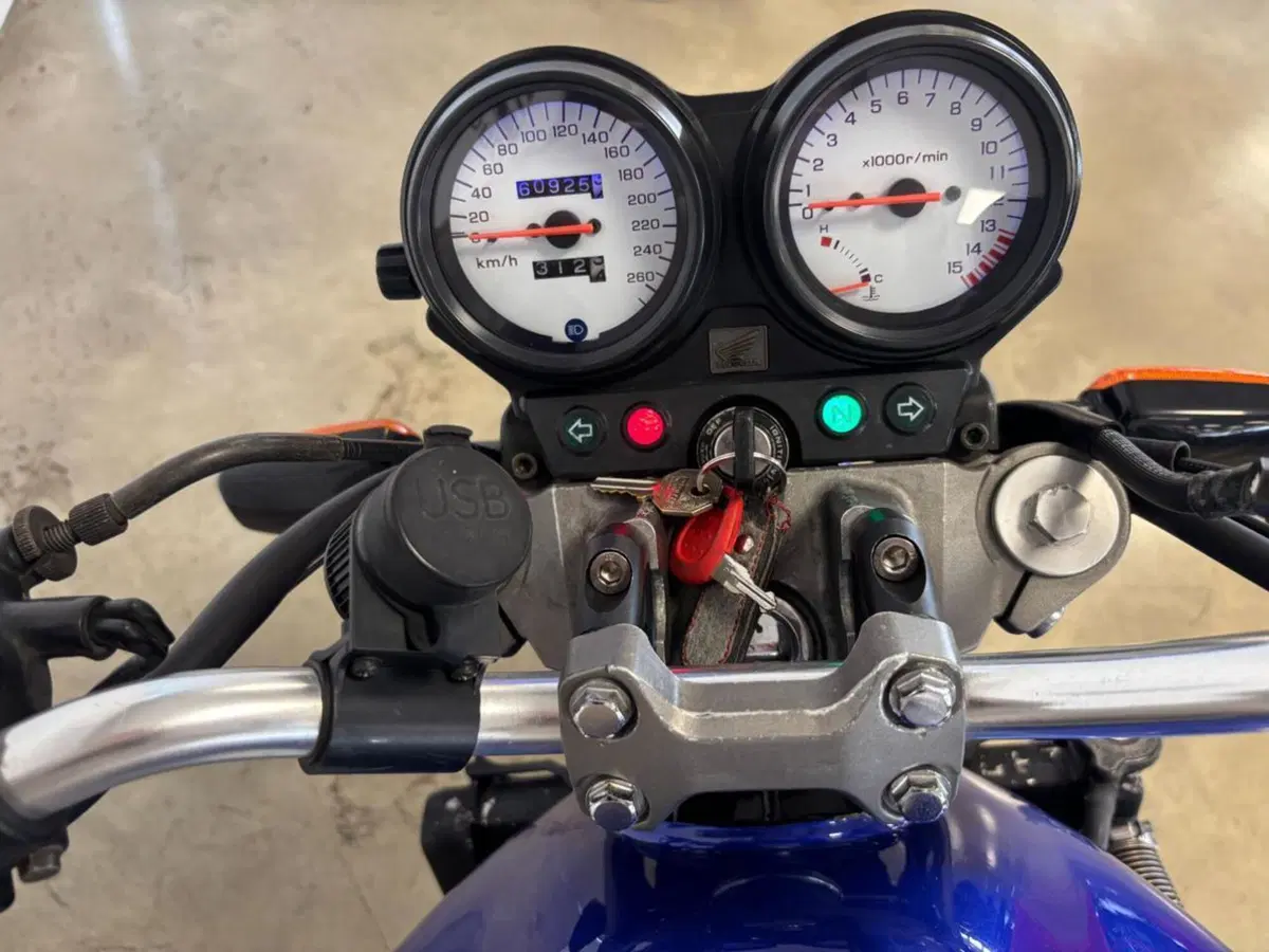 Honda Hornet 600 (2000 - 02) (14)