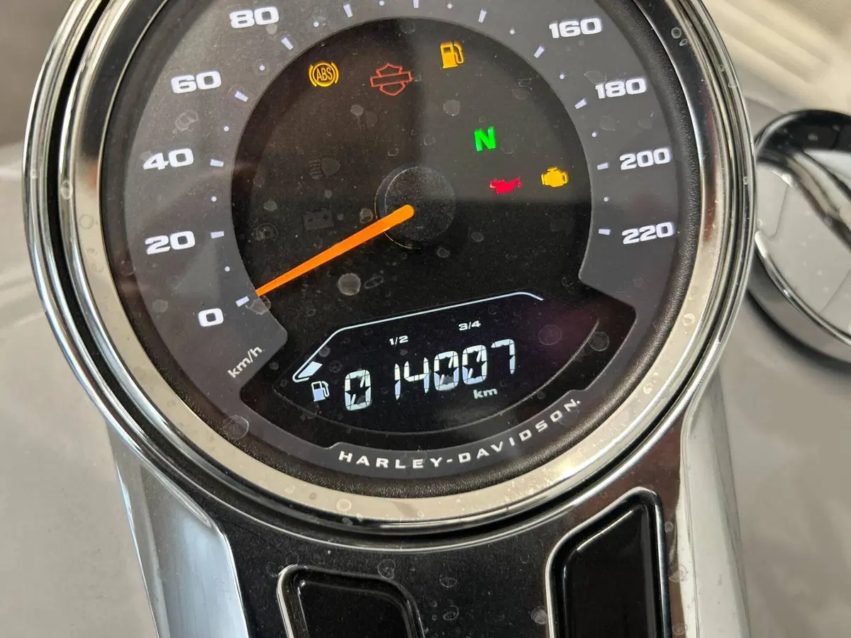 Harley-Davidson Sport Glide (2021 - 25) (5)