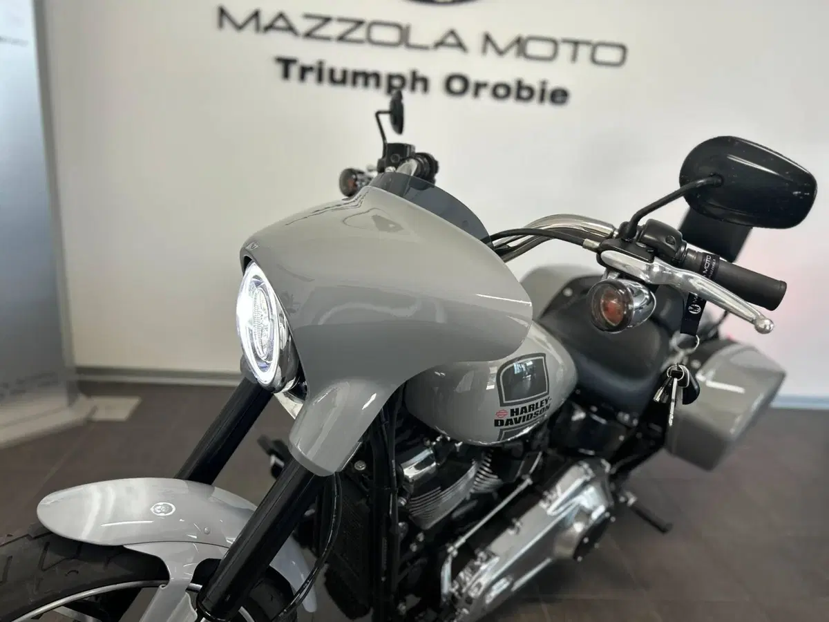Harley-Davidson Sport Glide (2021 - 25) (6)