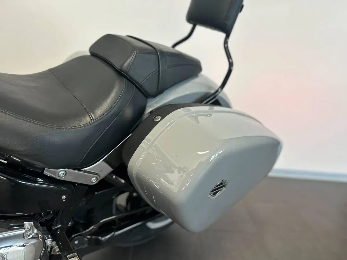 Harley-Davidson Sport Glide (2021 - 25) (7)