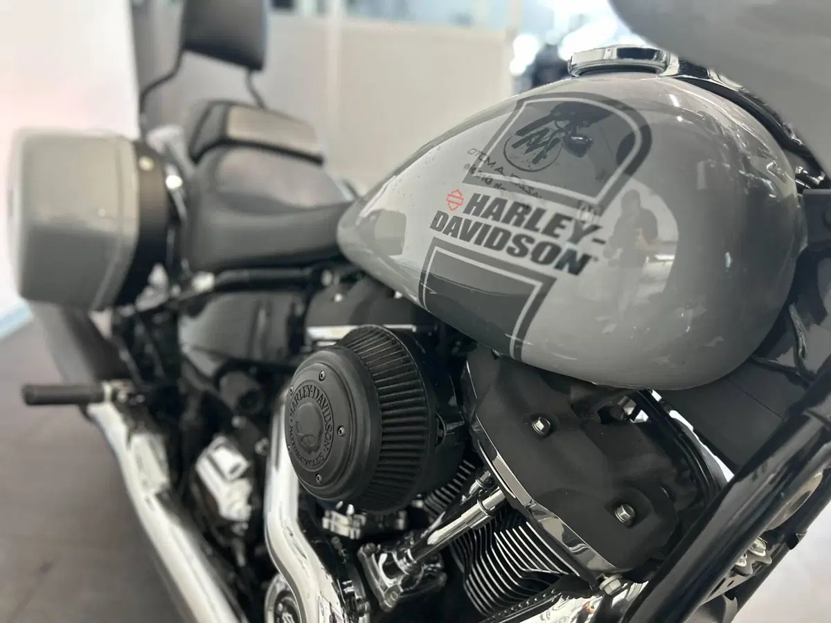 Harley-Davidson Sport Glide (2021 - 25) (9)