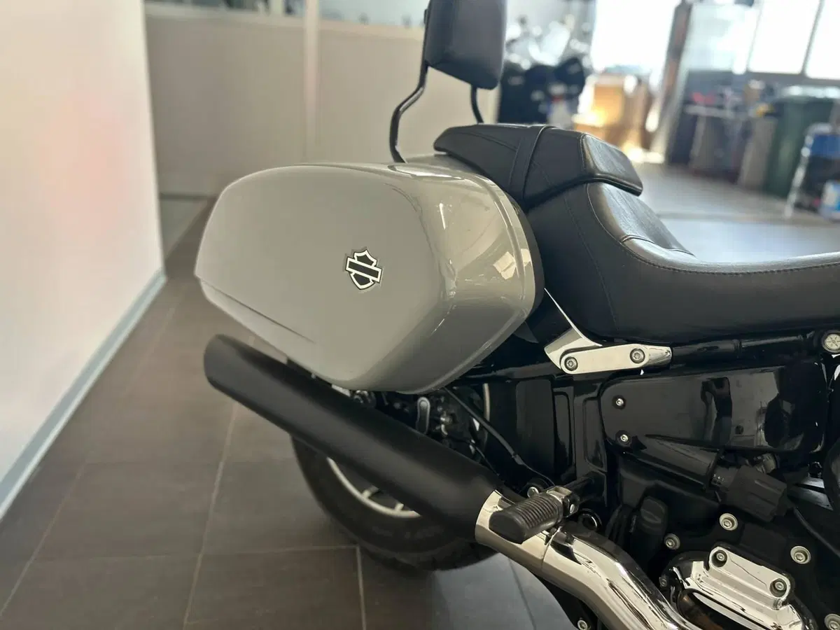 Harley-Davidson Sport Glide (2021 - 25) (10)