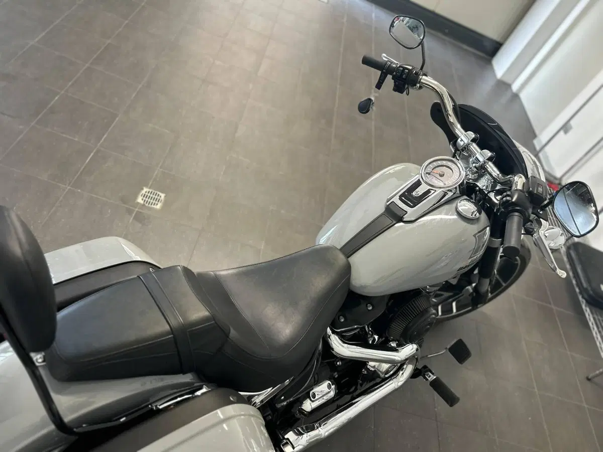 Harley-Davidson Sport Glide (2021 - 25) (11)