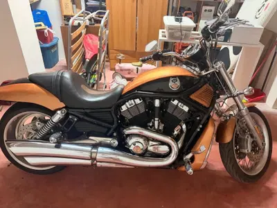 Harley-Davidson 1250 V-Rod (2008 - 12) - VRSCAW usata