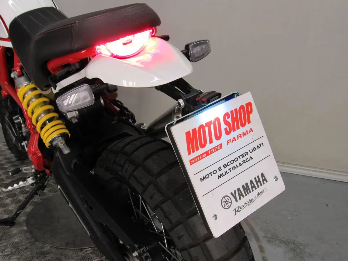 Ducati Scrambler 800 Desert Sled (2017 - 20) (13)