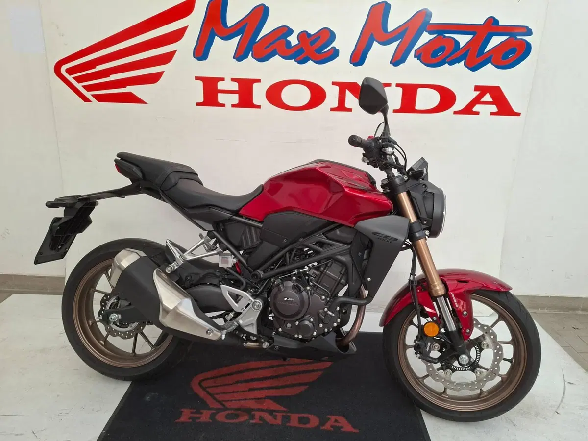 Honda CB 300 R (2022 - 26)