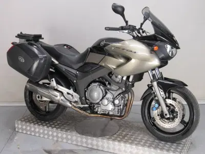 Yamaha TDM 900 (2002 - 14) usata