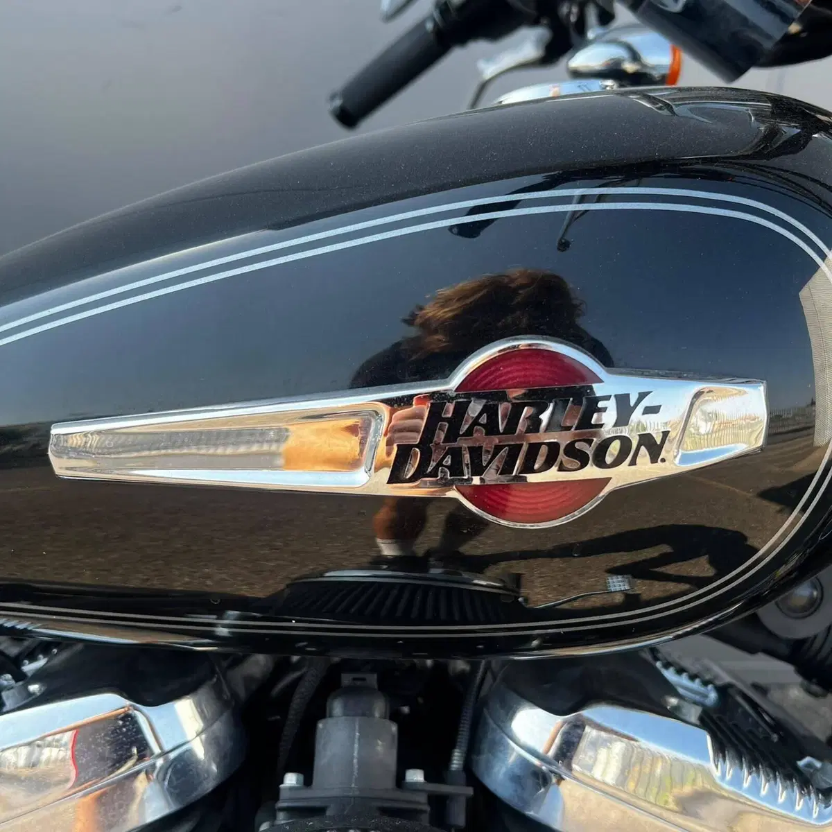 Harley-Davidson 1200 Custom (2007 - 13) - XL 1200C (6)