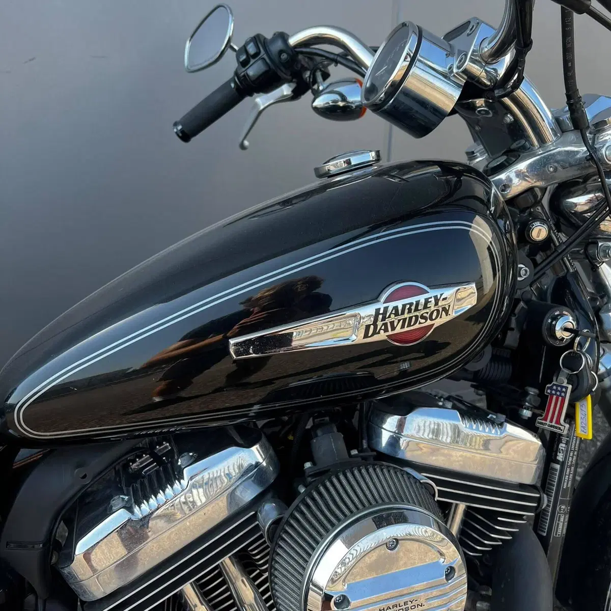 Harley-Davidson 1200 Custom (2007 - 13) - XL 1200C (5)