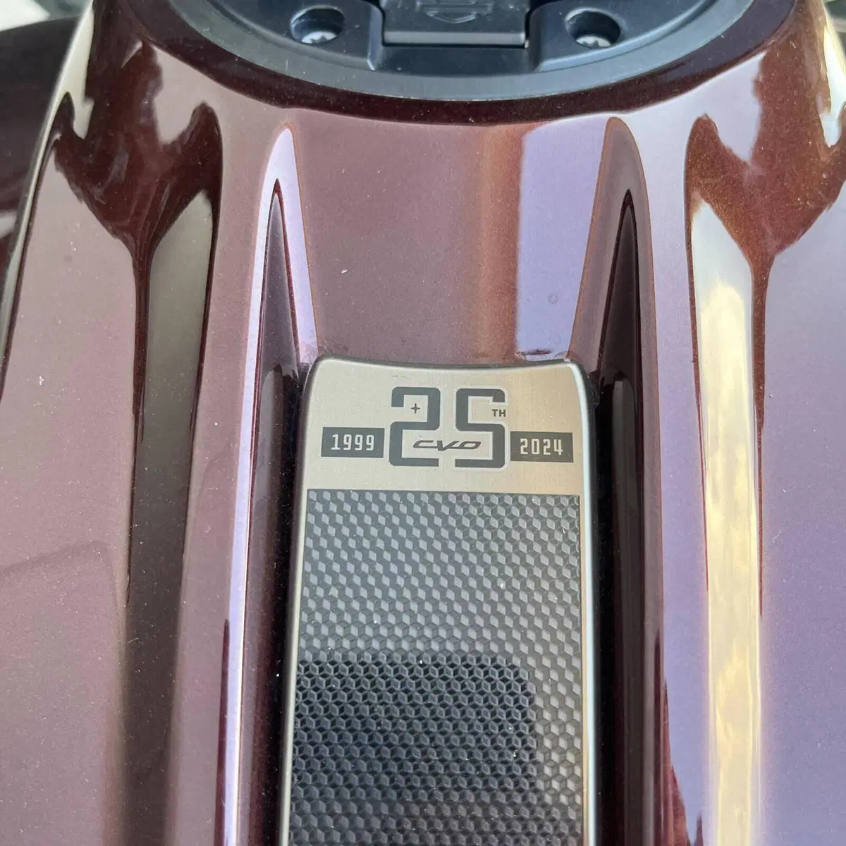 Harley-Davidson CVO Street Glide (2024) (10)