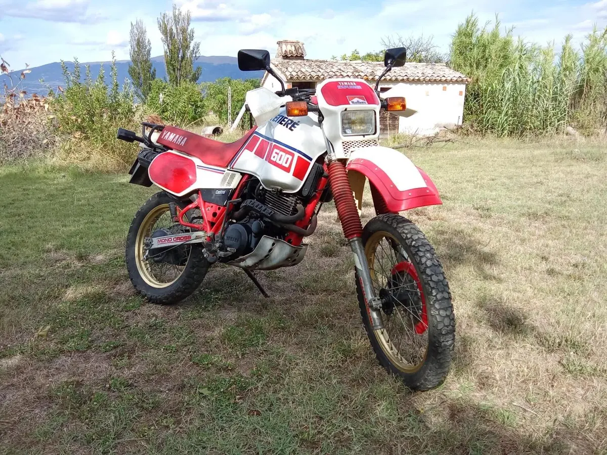 Yamaha Tenere (3)