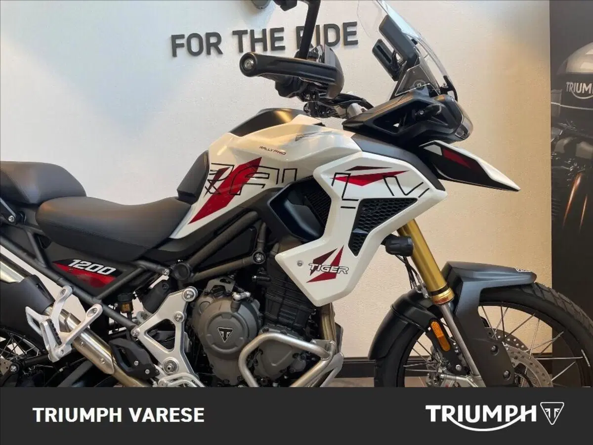 Triumph Tiger 1200 Desert Special Edition (2026) (5)