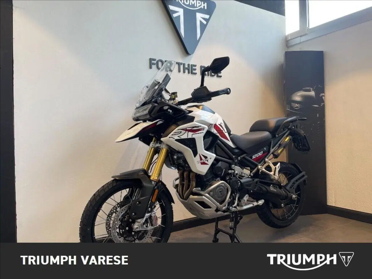 Triumph Tiger 1200 Desert Special Edition (2026) (3)