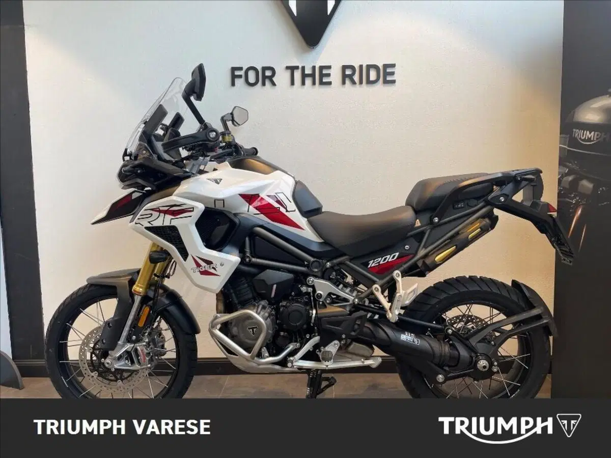 Triumph Tiger 1200 Desert Special Edition (2026) (4)