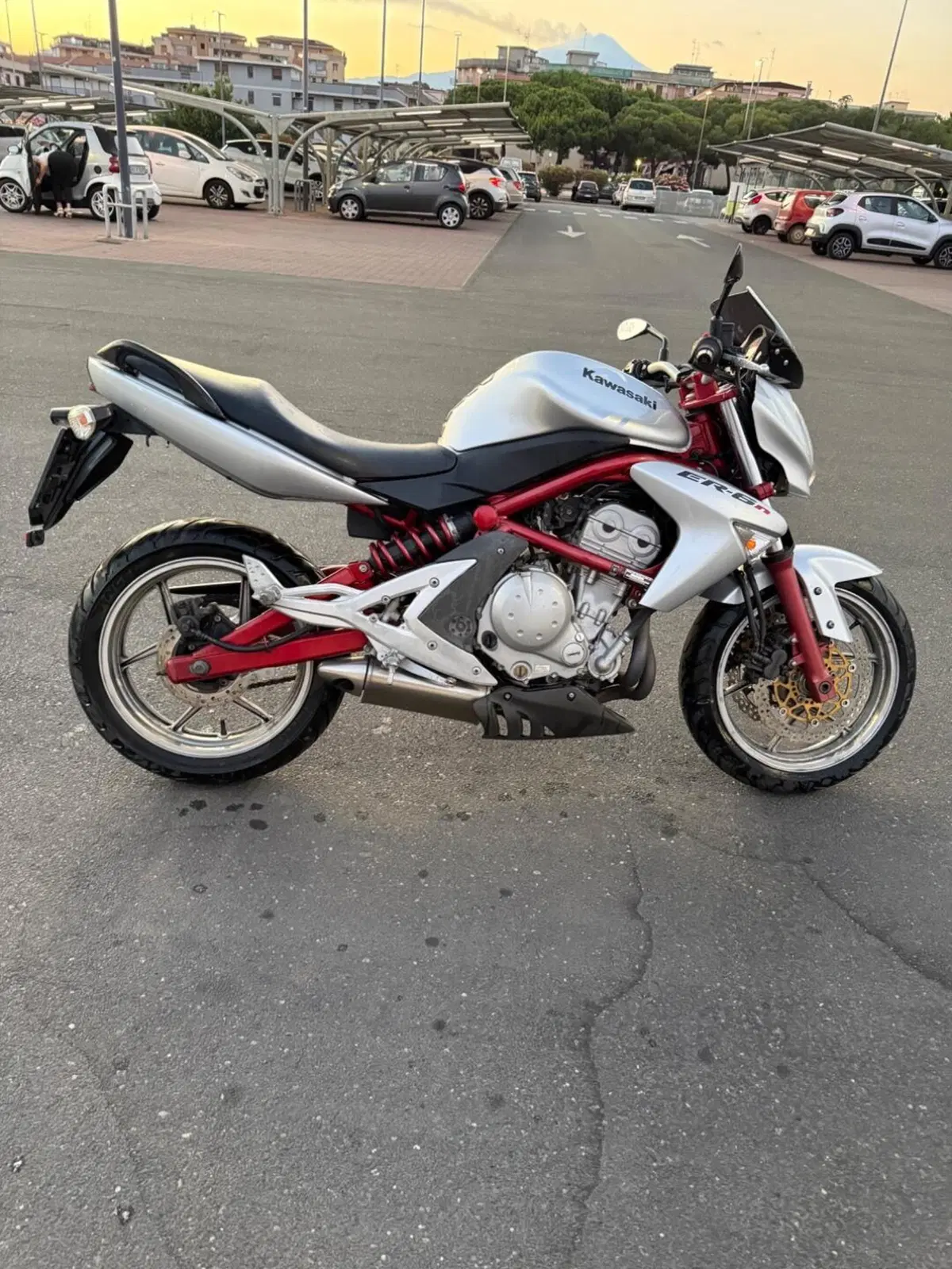 Kawasaki ER-6N (2005 - 08) (2)