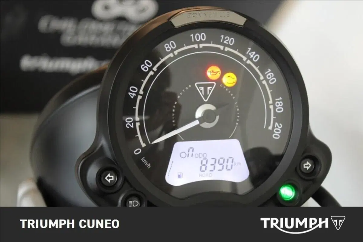 Triumph Scrambler 900 (2023 - 25) (7)