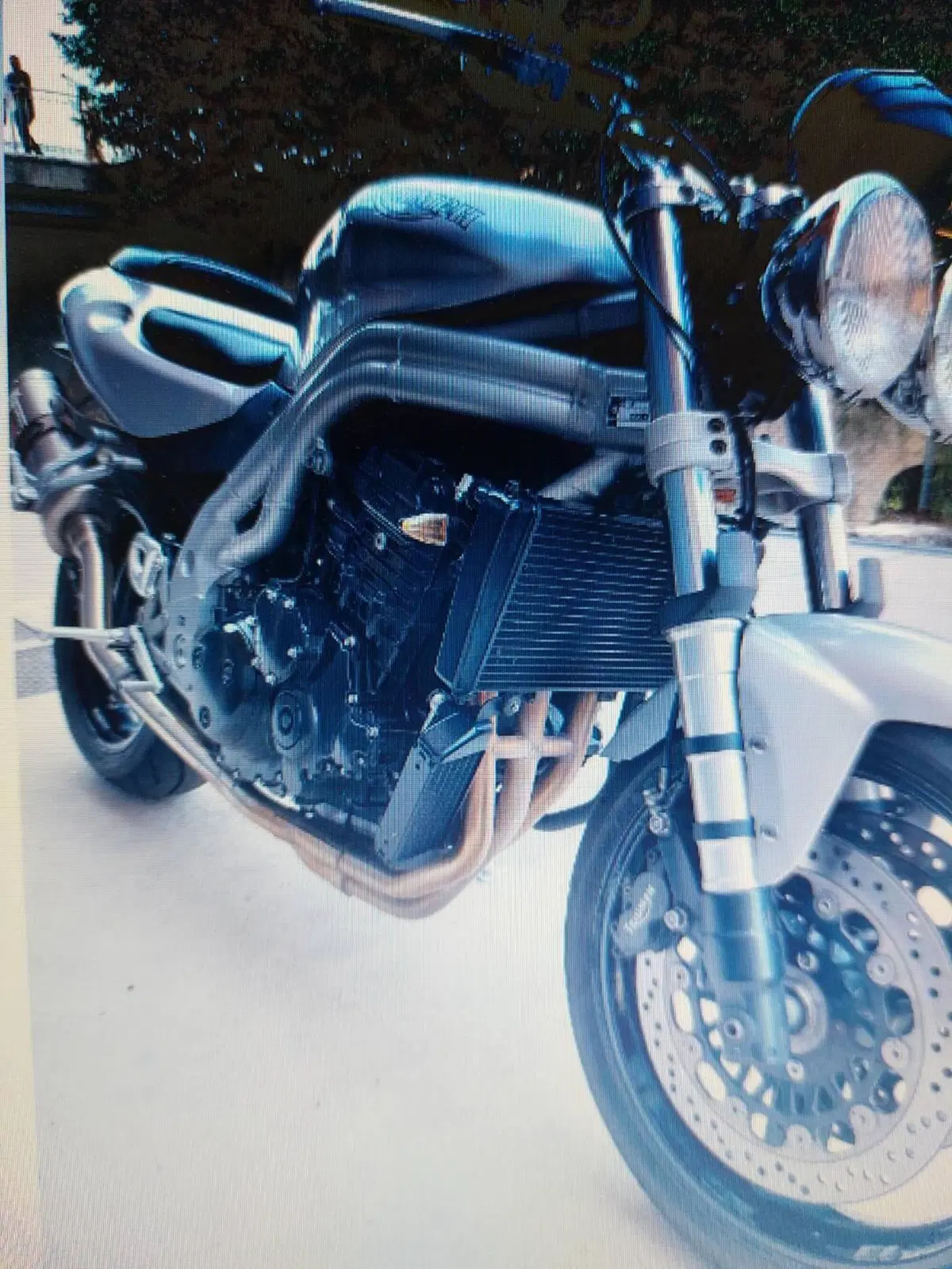 Triumph Speed Triple 955 (2002 - 04) (5)