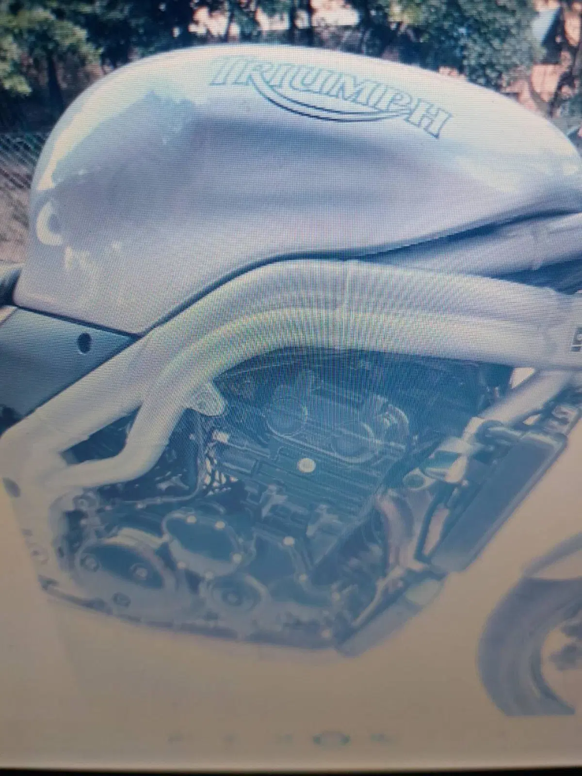 Triumph Speed Triple 955 (2002 - 04) (7)