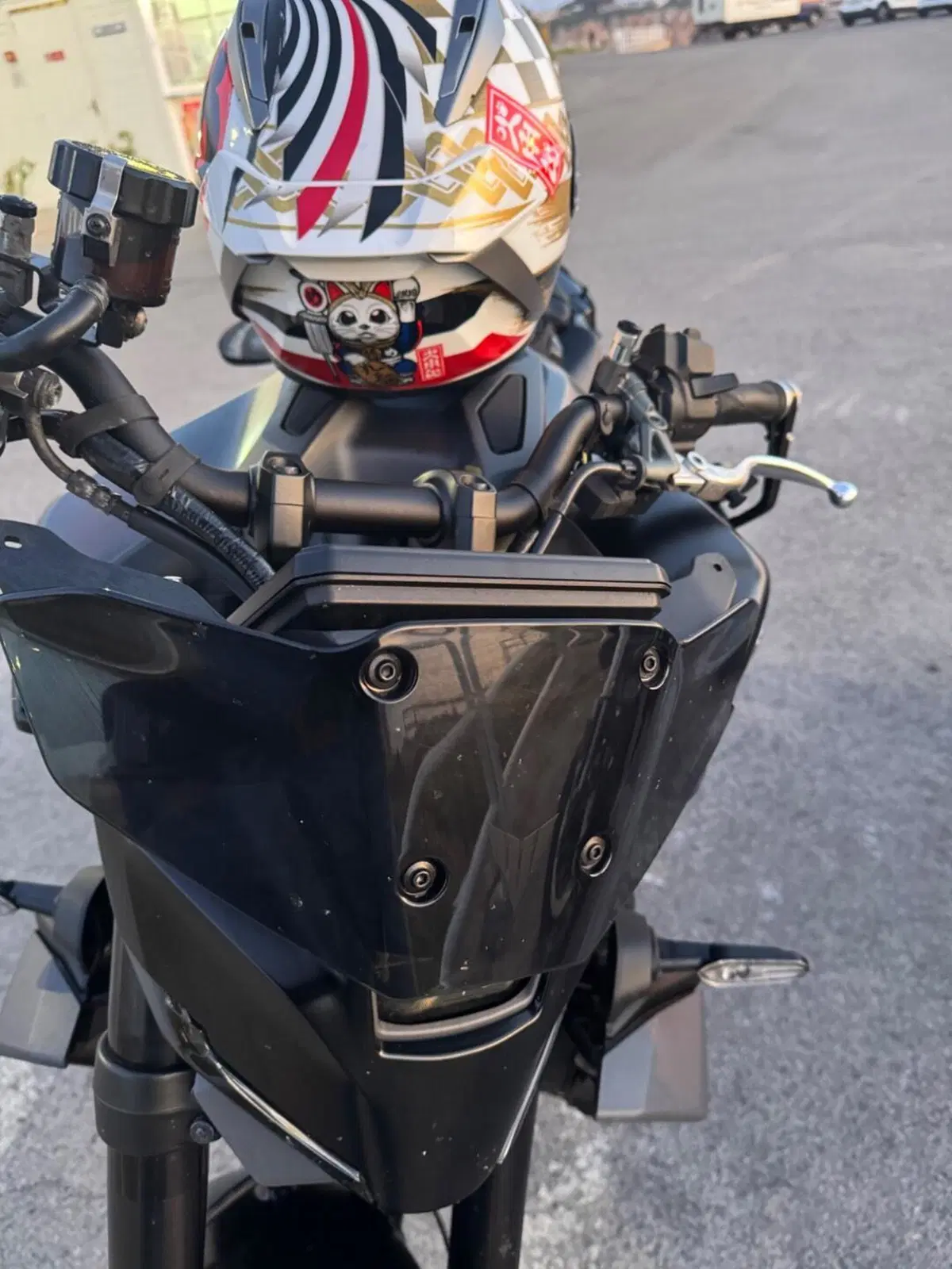 Yamaha MT-09 (2024 - 26) (13)