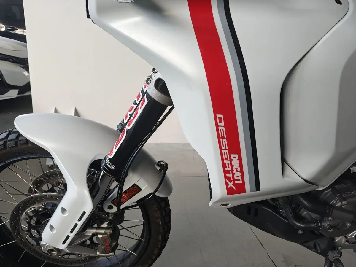 Ducati DesertX (2022 - 25) (8)